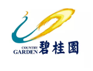 盐田碧桂园地产